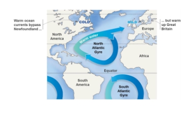 <p>Gyres are massive ocean current cycles that transport warm water from equator to colder latitudes, and cold water toward tropics (regulates climate and influences ecosystem in different regions)</p><p>Coriolis effect causes:</p><ul><li><p><strong>clockwise </strong>gyres in <strong>Northern </strong>Hemisphere and <strong>counterclockwise </strong>in <strong>Southern </strong>Hemisphere</p></li></ul><p></p>