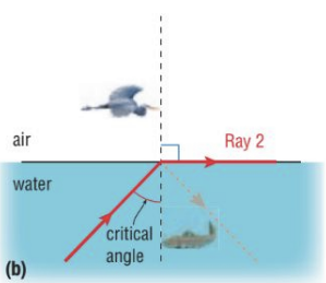 <ol><li><p>light must travel to <strong>more </strong>dense medium to <strong>less </strong>dense medium</p></li><li><p>angle of incidence is large enough that refraction does not occur in the 2nd medium (angle of incidence is greater than the critical angle)</p></li></ol><p></p>