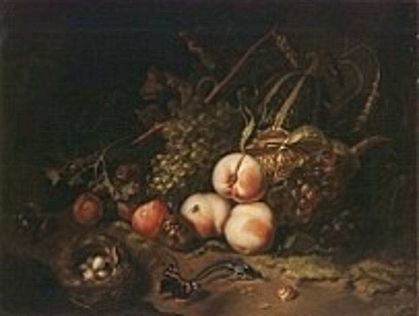 <p>Fruit and Insects</p>