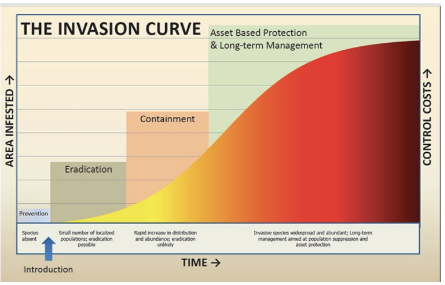 <p>-prevention is key, how do we prevent organisms from coming in </p><ul><li><p>boat wash station</p></li></ul><p>-Eradication: do whatever you can do to stop it immediately. if its a small lake, just kill the entire lake</p><p>-containment: gets very hard in the great lakes</p><p>-assest based prodction and long-term management: figure out hot to handle it longterm</p><p></p>