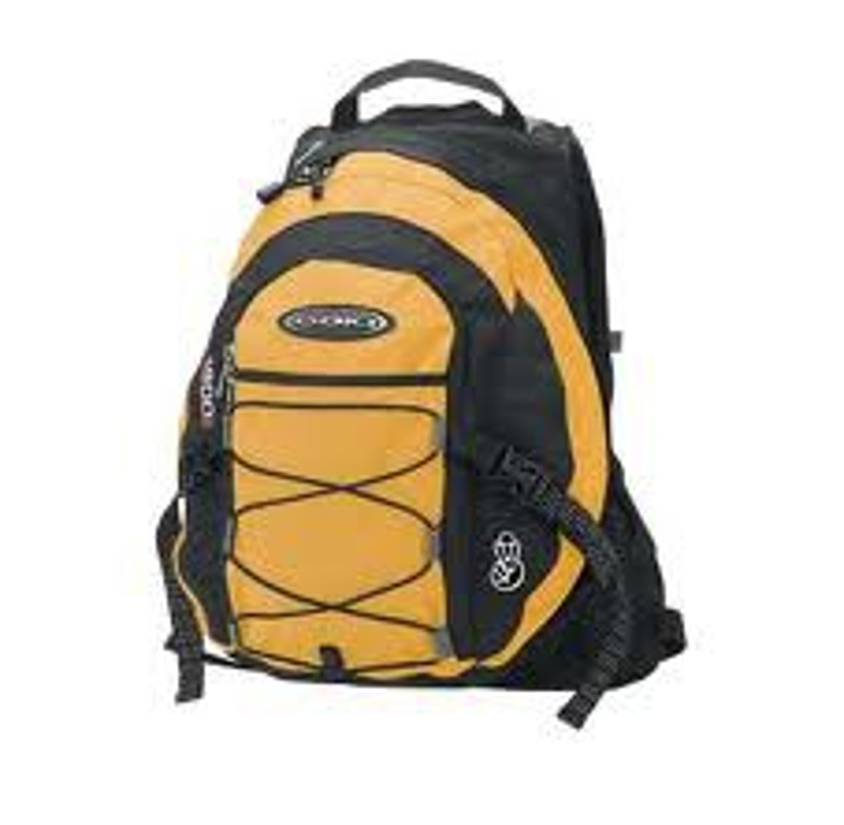 <p>backpack, bookbag</p>