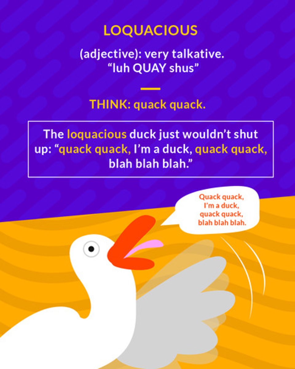 <p>(adj.) very talkative</p>