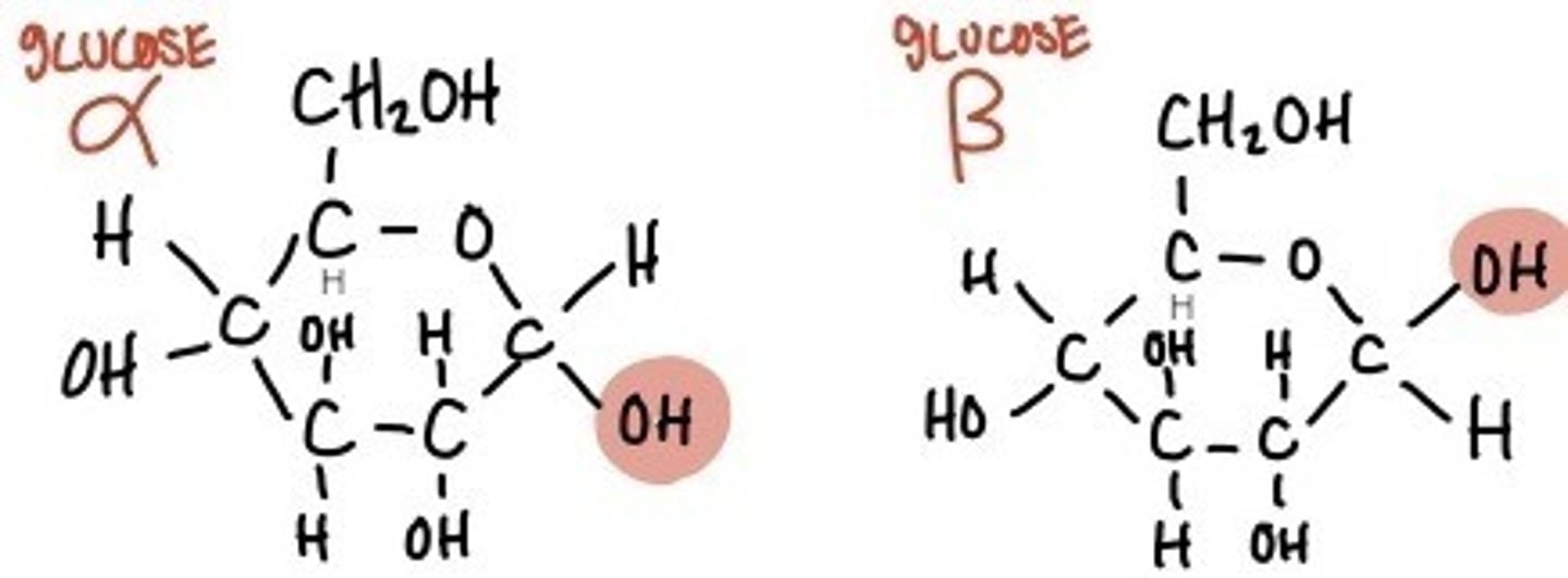 <p>There is a different orientation of the hydroxyl group (-OH) relative to carbon 1.</p>