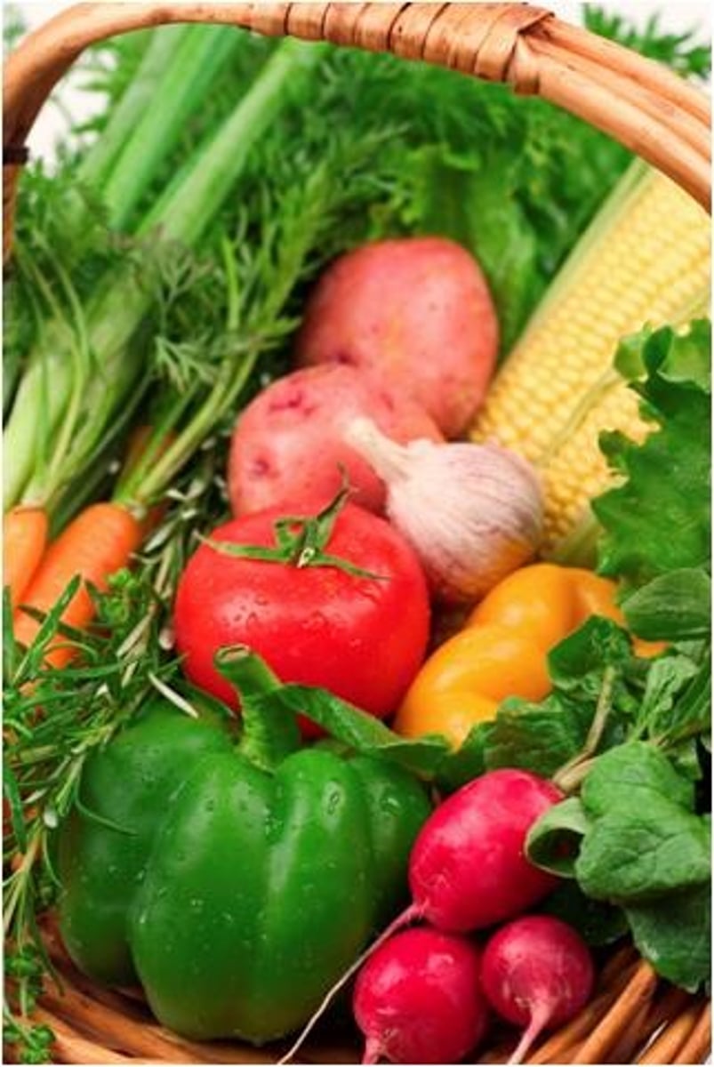<p>fresh</p>