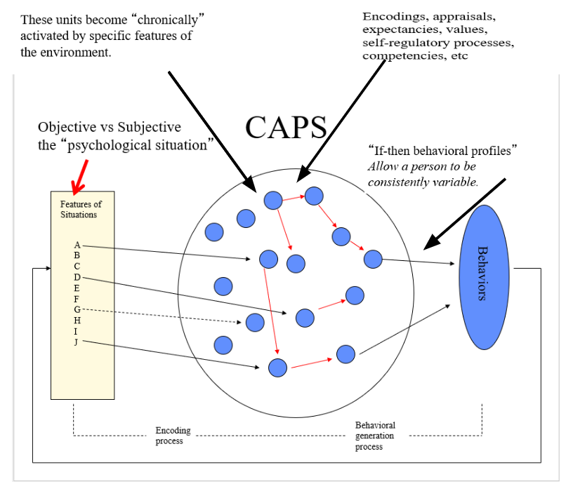 <p><span style="background-color: transparent;"><span>Objective situations are viewed through personal C.A units/easily accessible schema, then that is processed and forms your behaviors/subjective interpretations/individual differences.&nbsp;</span></span></p>