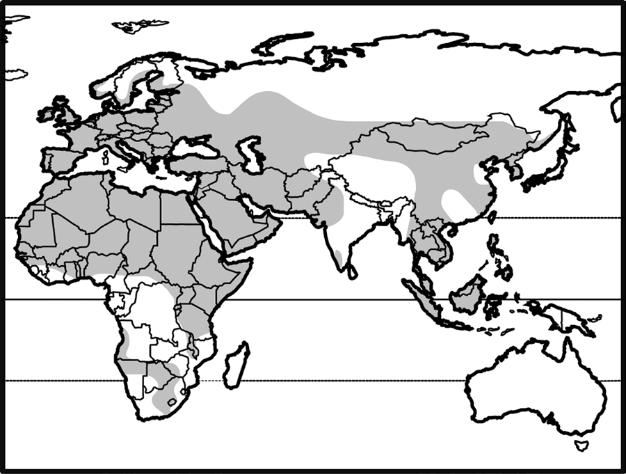 old world; eurasia and africa; absent from new world, australia