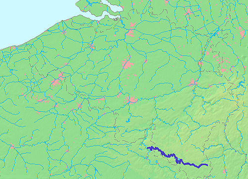 term image