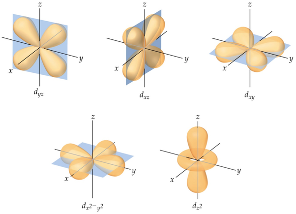 <p>d orbitals</p>