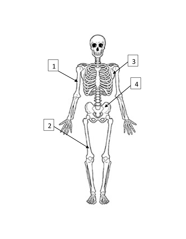 <p>3</p>