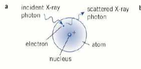 <ul><li><p>happens for photons with energy of 1-20keV</p></li><li><p>photon interacts with electron in atom</p></li><li><p>photon doesn’t have enough energy to remove the electron, so it just bounces off (is scattered)</p></li><li><p>photon’s direction changes but energy doesn’t</p></li><li><p>insignificant because X-ray machines have p.ds greater than 20kV</p></li></ul><p></p>