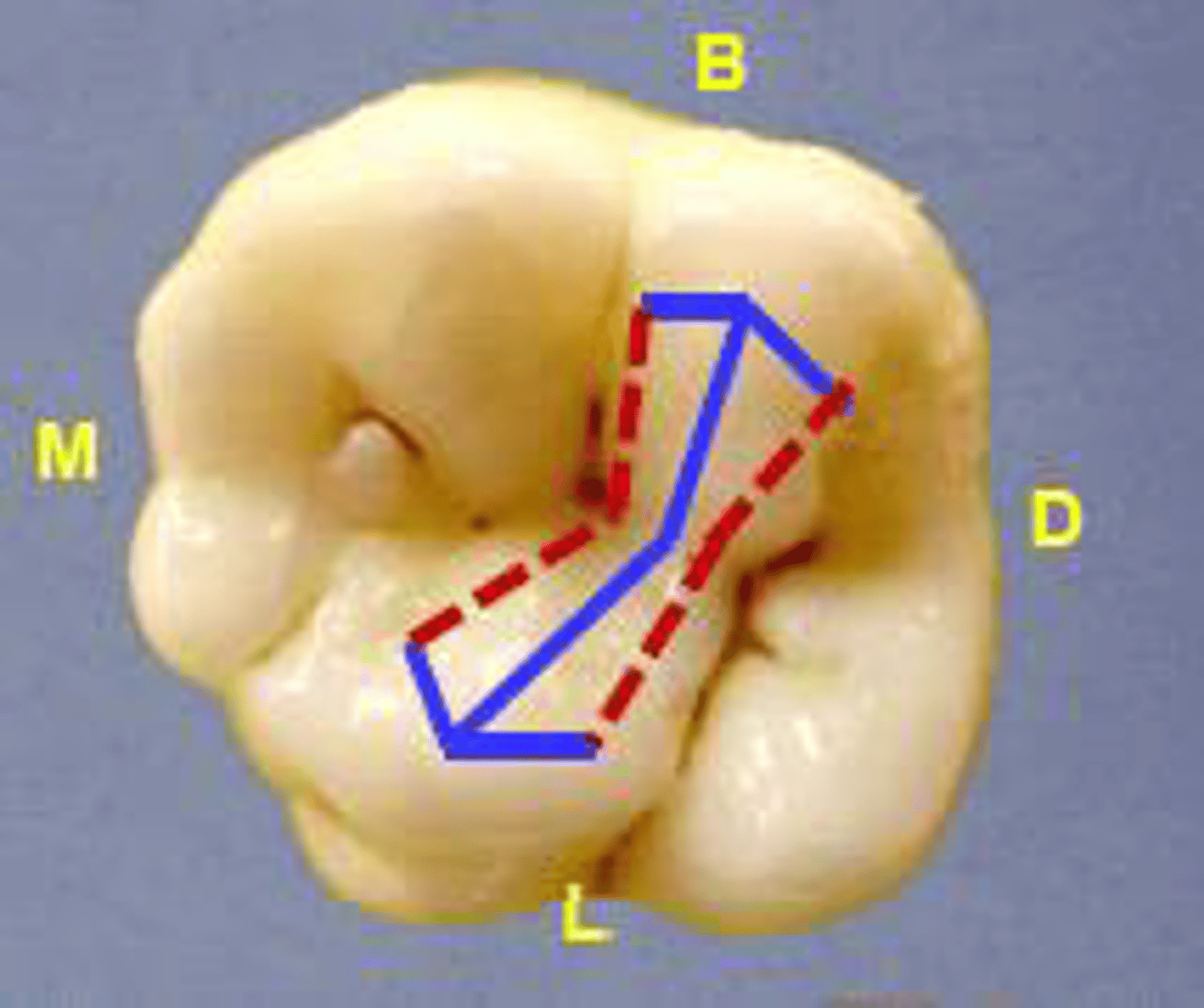 <p>what is this?</p>