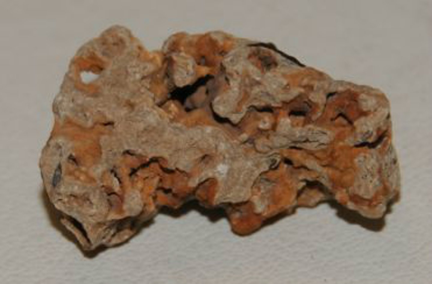 <p>a porous rock similar to limestone</p>