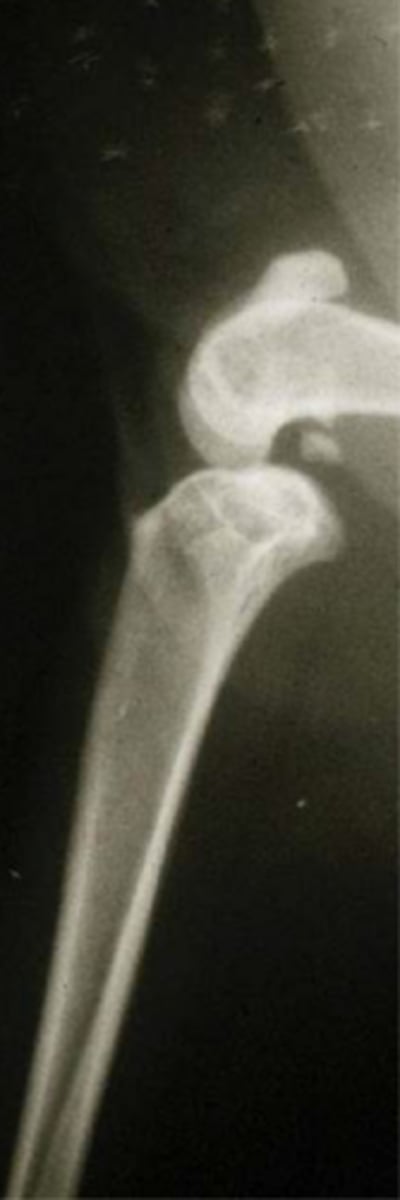 <p>what is shown here...</p>