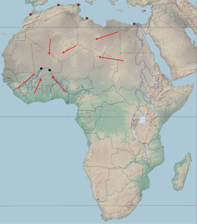 <p>What 3 factors enabled the tendency towards internally oriented power?</p>