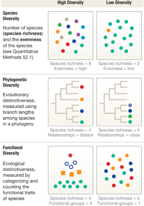 <ol><li><p>species diversity</p><ol><li><p>richness (total #)</p></li><li><p>evenness (similar relative abundances)</p></li><li><p>count species (DNA barcodes)</p></li></ol></li><li><p>phylogenetic diversity</p><ol><li><p>how diversity spread across tree of lie</p></li></ol></li><li><p>functional diversity</p><ol><li><p>ecological/functional roles represented</p></li></ol></li></ol><p></p>