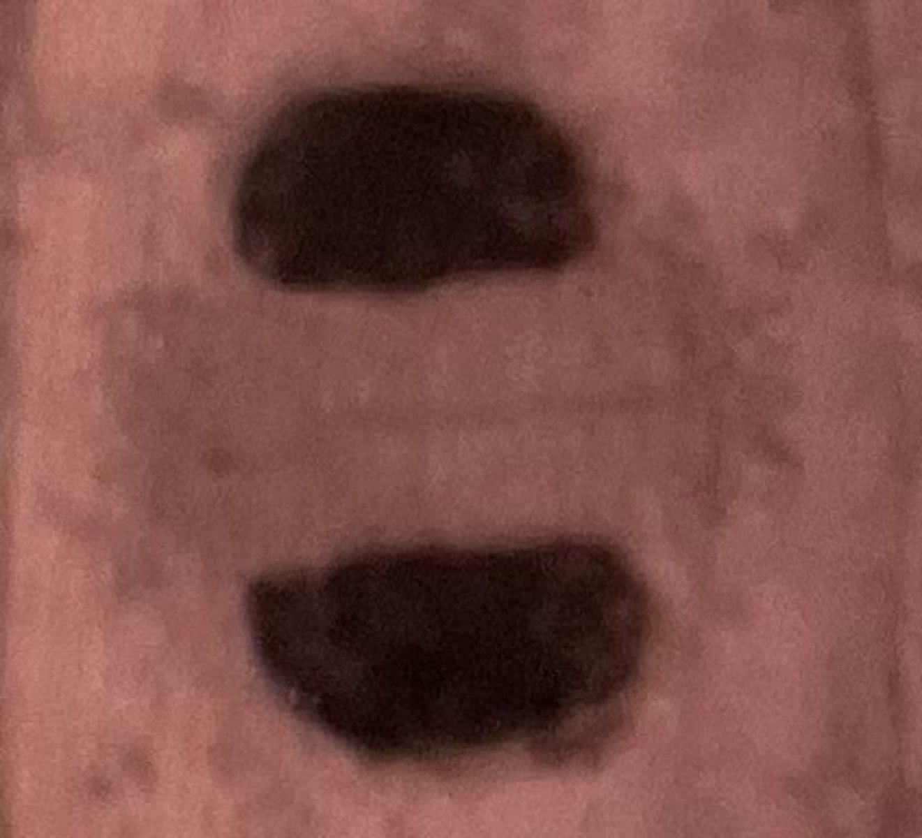 <p>chromosomes settle in opposite poles and decondense, nuclear envelope reappears</p>