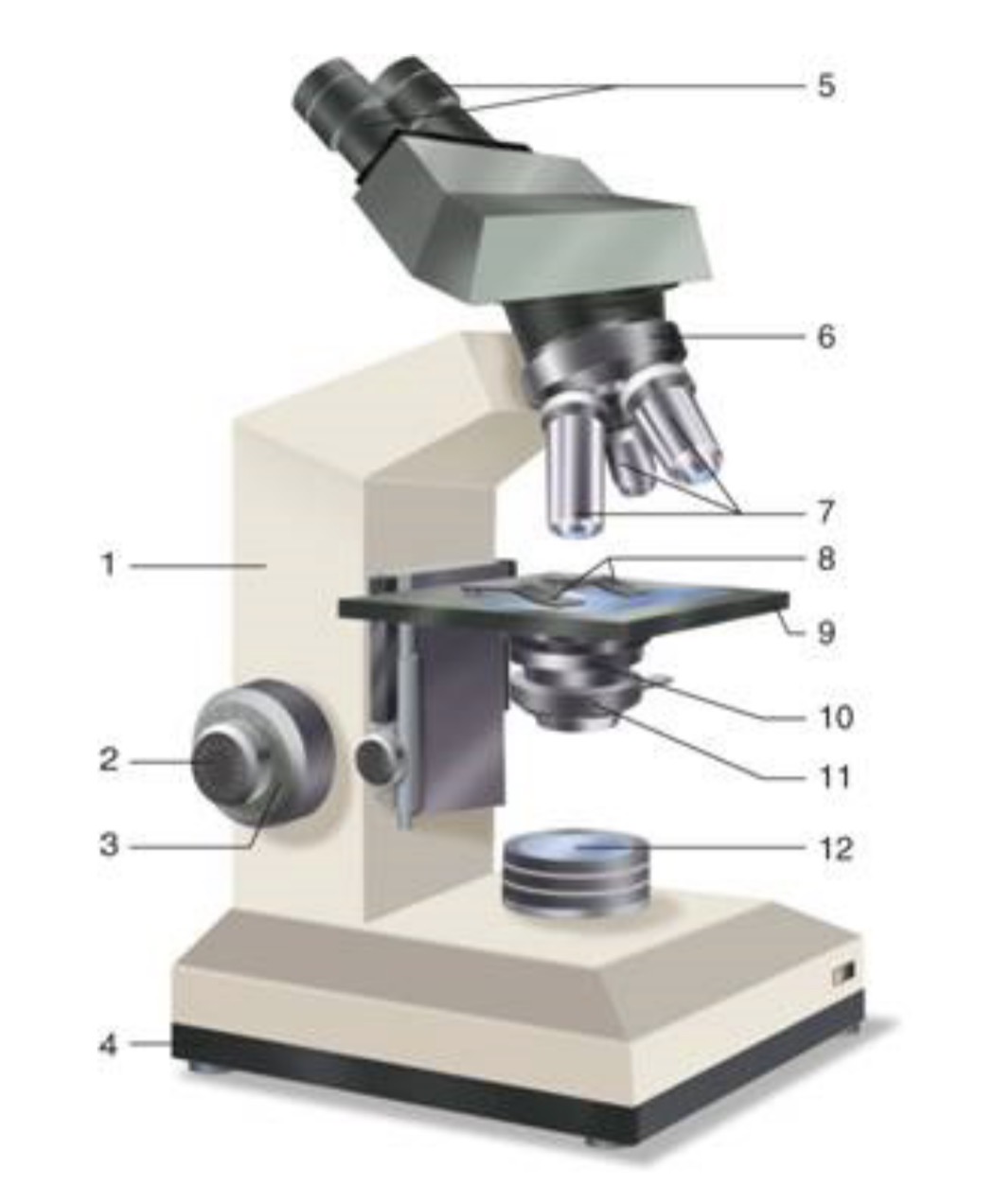 <p><span>Coarse Adjustment Knob</span></p>