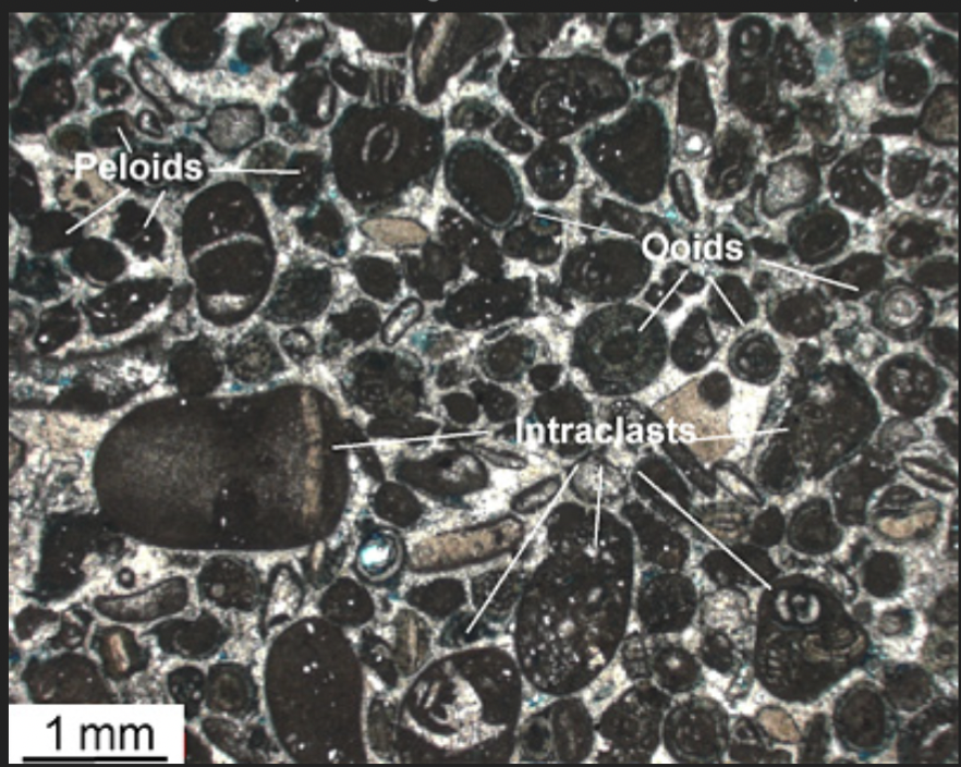 <p>Grains (usually fecal pellets) composed of microcrystalline calcite or aragonite</p><ul><li><p>Smaller than ooids and have no internal structure</p></li></ul>