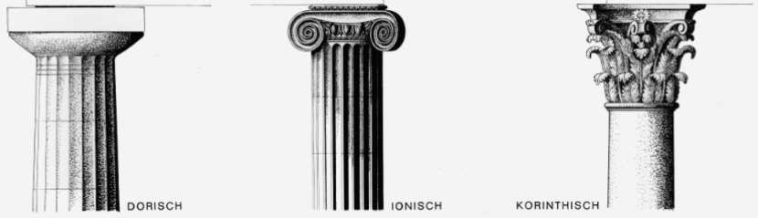 <p>Wie heißen die stützenden Teile?</p>