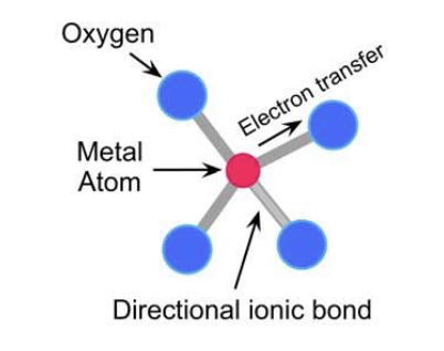 <p>Dental Ceramics</p>