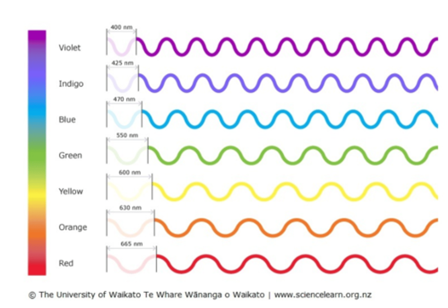 <p>A form of electromagnetic radiation that travels in waves and can be seen by the human eye. Light is made of many photons ("particles") moving in different waves of energy (seen as different colours)</p>