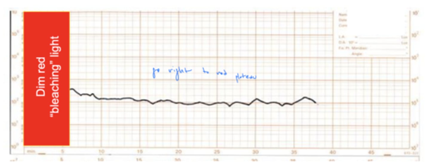 <p>no bleaching of rods and stay dark adapted</p><p>why? - cones are more sensitive to red</p>