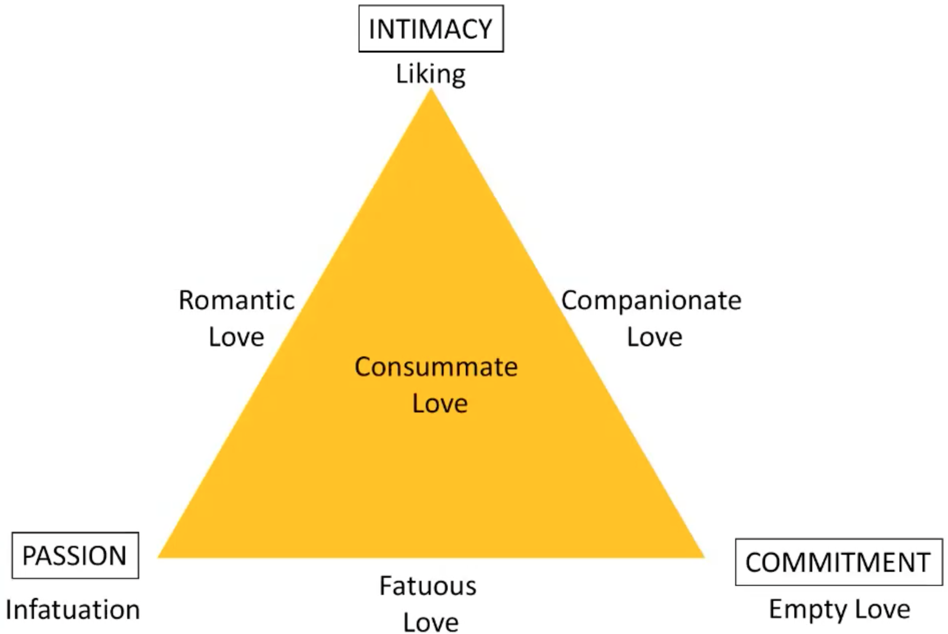 <ol><li><p>Passion &amp; Intimacy (No commitment) = R<em>omantic Love</em></p></li><li><p>Intimacy &amp; Commitment (No Passion) = <em>Companionate Love</em></p><ol><li><p>So your companions</p></li><li><p>You're not necessarily like so romantic or physically attracted to each other</p></li><li><p>Don’t have that kind of drive or need to be together</p></li></ol></li><li><p>Commitment &amp; Passion (No Inyimacy) = <em>Fatuous Love</em></p><ol><li><p>Least Likely</p></li><li><p>Someone who has a fling, and maybe get married before they’ve developed feelings of true intimacy</p></li></ol></li><li><p>Passion &amp; Intimacy &amp; Commitment (All Three) = <em>Consummate Love</em></p><ol><li><p>Is the “Ideal”</p></li><li><p>That people always want to have all 3</p></li></ol></li></ol>