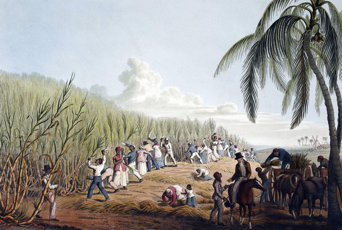 <p><span style="background-color: transparent; font-family: "Google Sans Text";"><strong><span>Stimulus 4:<br></span></strong><span> </span><em><span>An image of a sugar plantation in the Caribbean, including African slaves working the fields.</span></em></span></p><p><span style="background-color: transparent; font-family: "Google Sans Text";"><strong><span>Question 4:<br></span></strong><span> What does the presence of enslaved Africans on Caribbean sugar plantations, as shown in the image, reveal about the economic systems of European colonies in the Americas?</span></span></p>