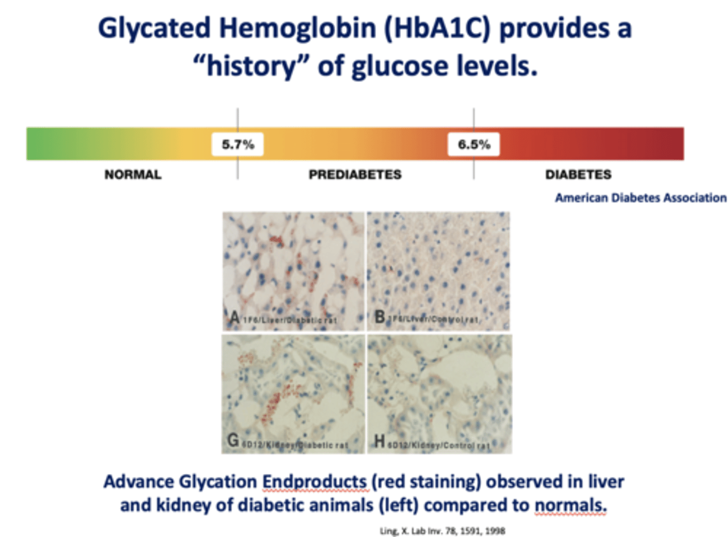 <p>HbA1C (glycated hemoglobin)</p>