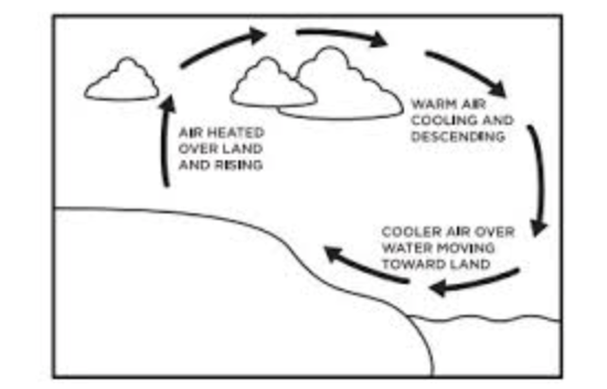 <p>The vertical movement of air in the atmosphere, driven by temperature differences, which creates wind patterns and influences weather systems. </p>