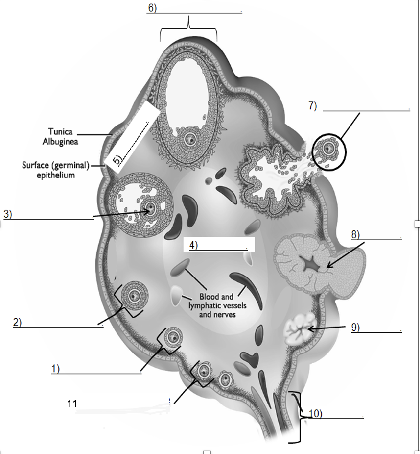 <p>Identify Parts</p>