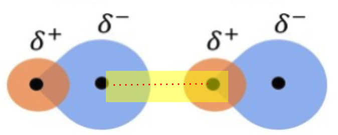 <p>attraction between <strong>𝛿+</strong><span> and </span><strong>𝛿− </strong>regions<strong> </strong>of two different polar molecules</p><p></p><p>*intermolecular force, not an actual bond</p>