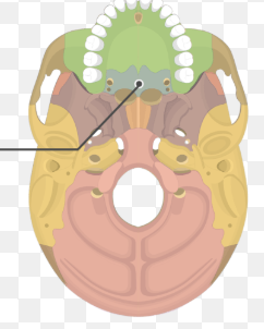 knowt flashcard image