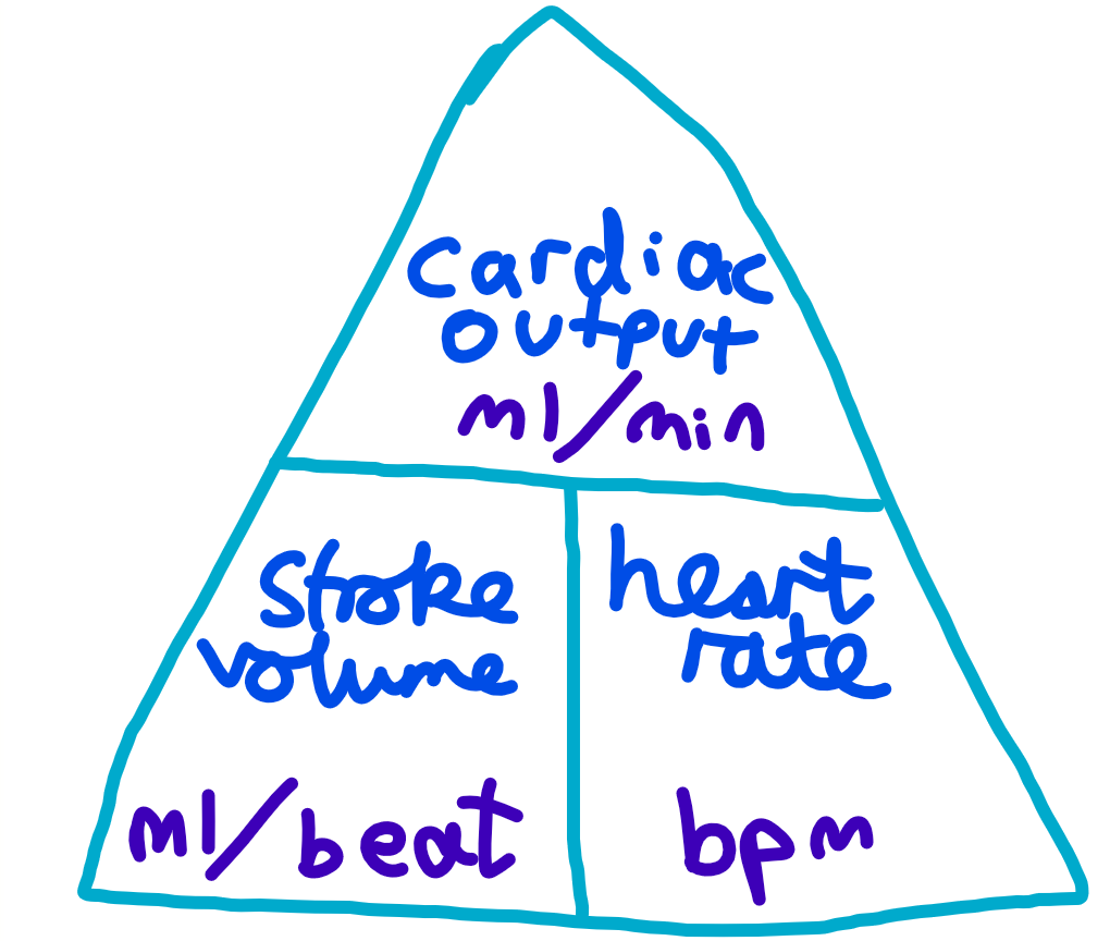 <p></p>