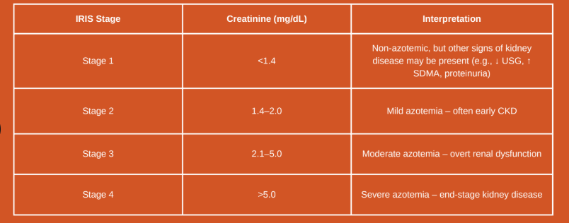 <p>Creatinne</p>