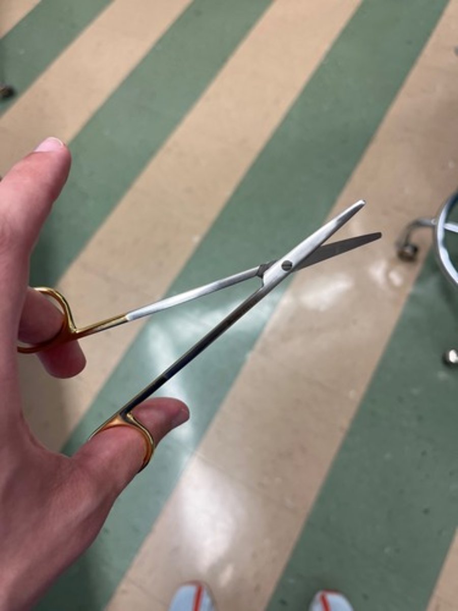 <p>Fine blades with blunt or pointed tips</p>