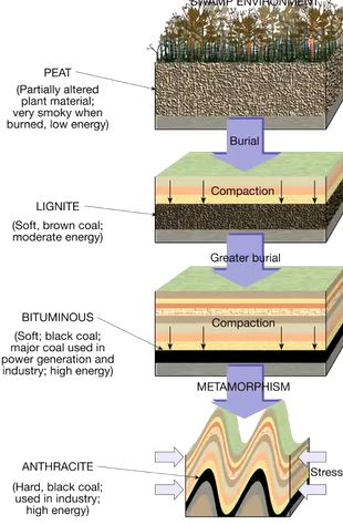 <p>coal is formed in swamps because it requires decaying vegetation, mixed with clays. increased compaction of layering increases the energy we can extract from the resource. we need coal to make steel. we can use tires to replace coal even though we do not have enough tires. compressed drives off volitiles, low cellulose. </p>