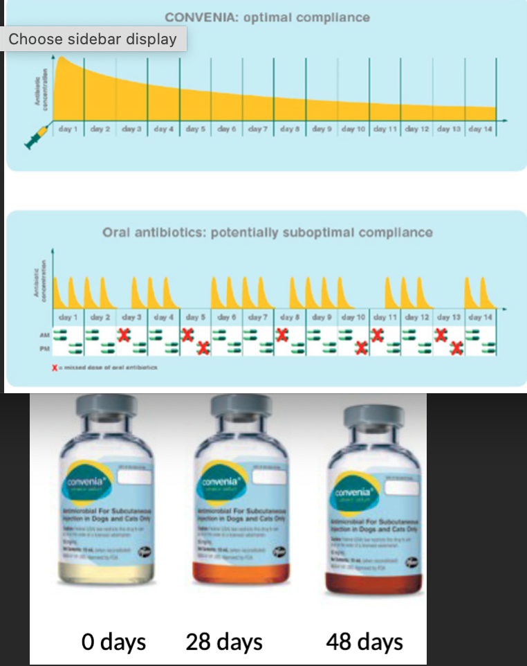 <p>Convenia → broad spectrum, aqueous solution (1ml/10kg)</p><p>Long T½ (long duration of action in dogs and cats)</p><p>>99% protein bound in cats and >98% in dogs, site of infection is important consideration (high plasma levels doesn’t mean it’ll reach infection outside of walls)</p><p>Used for skin infections and UTI in dogs and cats as a SQ injection 1x every 14 days (8mg/kg)</p><p>Freeze-dried power reconstituted with water → gradually discolours but <strong>doesn’t</strong> affect use. Must be refrigerated and discard after 56 days</p>