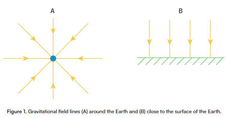 <p><span>Lines that show the direction of the gravitational force acting on a mass at that point in a gravitational field.</span></p><ul><li><p><span>Gravitational field lines point towards the centre of the object.</span></p></li><li><p><span>Gravitational field lines never cross each other.</span></p></li><li><p><span>closer the gravitation field lines the stronger the gravitational field, stronger the force experienced by a mass.</span></p></li><li><p><span>greater separation at greater distance.</span></p></li></ul><p></p>