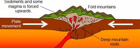 <p>what is a convergent collision/how are fold mountains formed?</p>