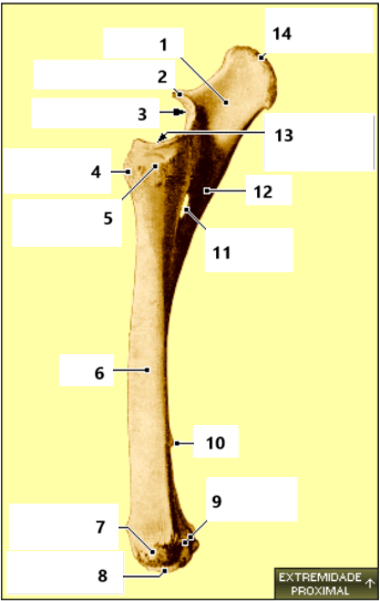 <p>9</p>