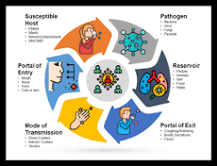 <ol><li><p>Infective agent</p></li><li><p>Reservoir</p></li><li><p>Portal of Exit</p></li><li><p>Mode of Transmission</p></li><li><p>Portal of Entry</p></li><li><p>Susceptible host</p></li></ol>