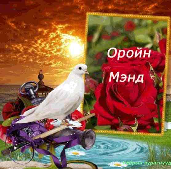 <p>Оройн мэнд</p>