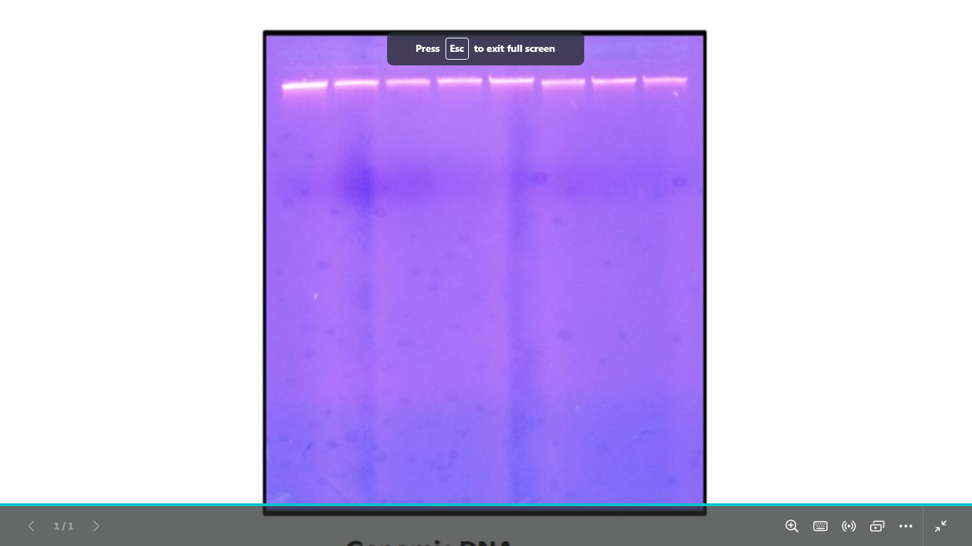 <p>what is this dna (visualization)</p>