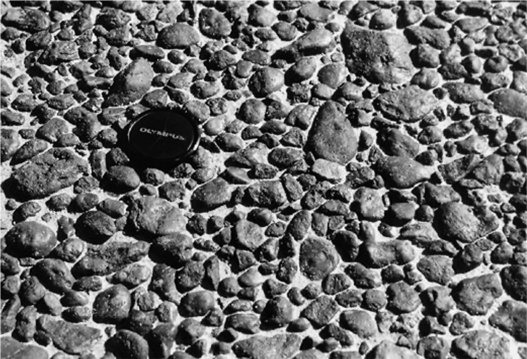 hoe is dit keivloertje ontstaan? 