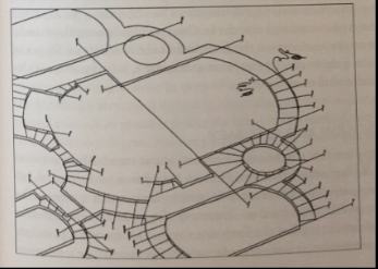 <p>Practicalities of surveying - laying out cords</p>