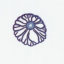 <p><span>basidiocarp</span></p><p><span>basidia</span></p><p><span>spores</span></p>