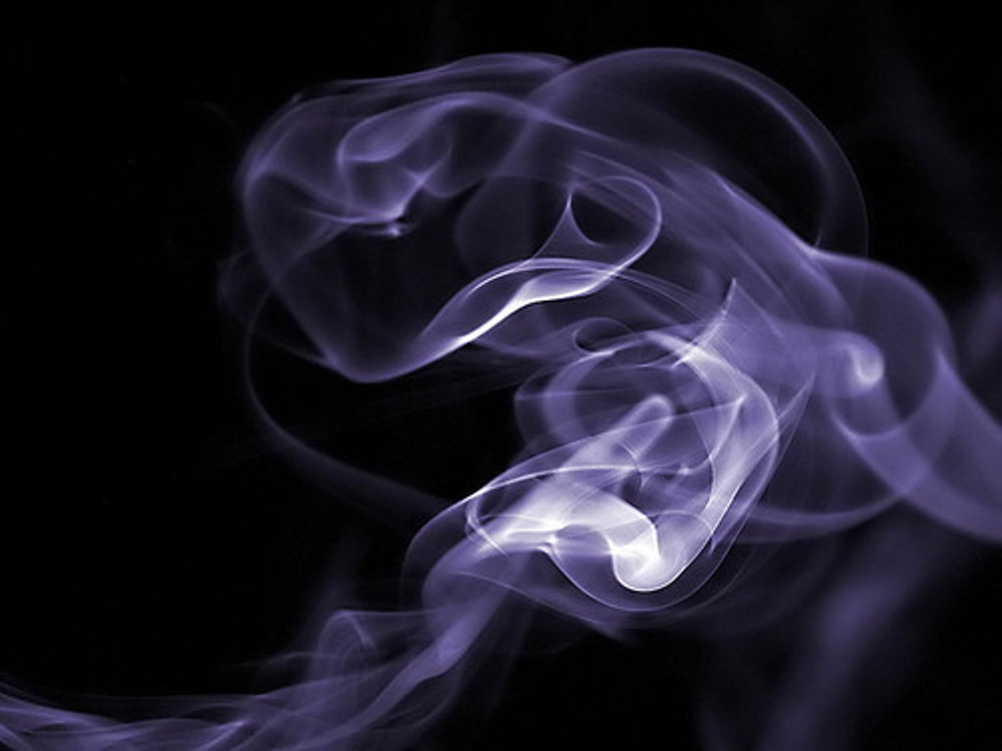 <p>A state of matter with no definite shape or volume</p>