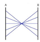 <p>what correlation does this parallel coordinate have?</p>