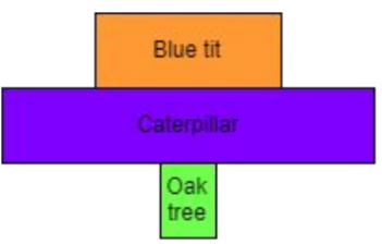 <p>Pyramids of numbers don’t take size and mass of organisms into account.</p>